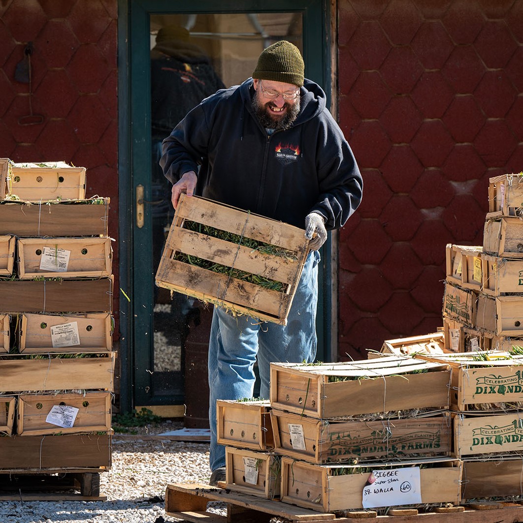 A man carries a wooden crate filled with onions