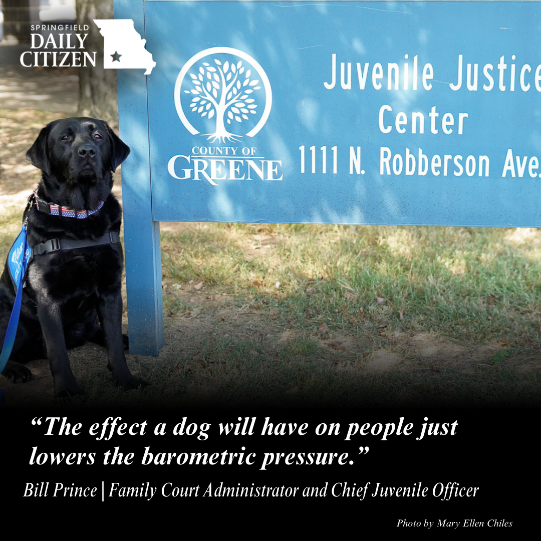 A Black English Labrador retriever sits next to a sign for the Greene County Juvenile Justice Center