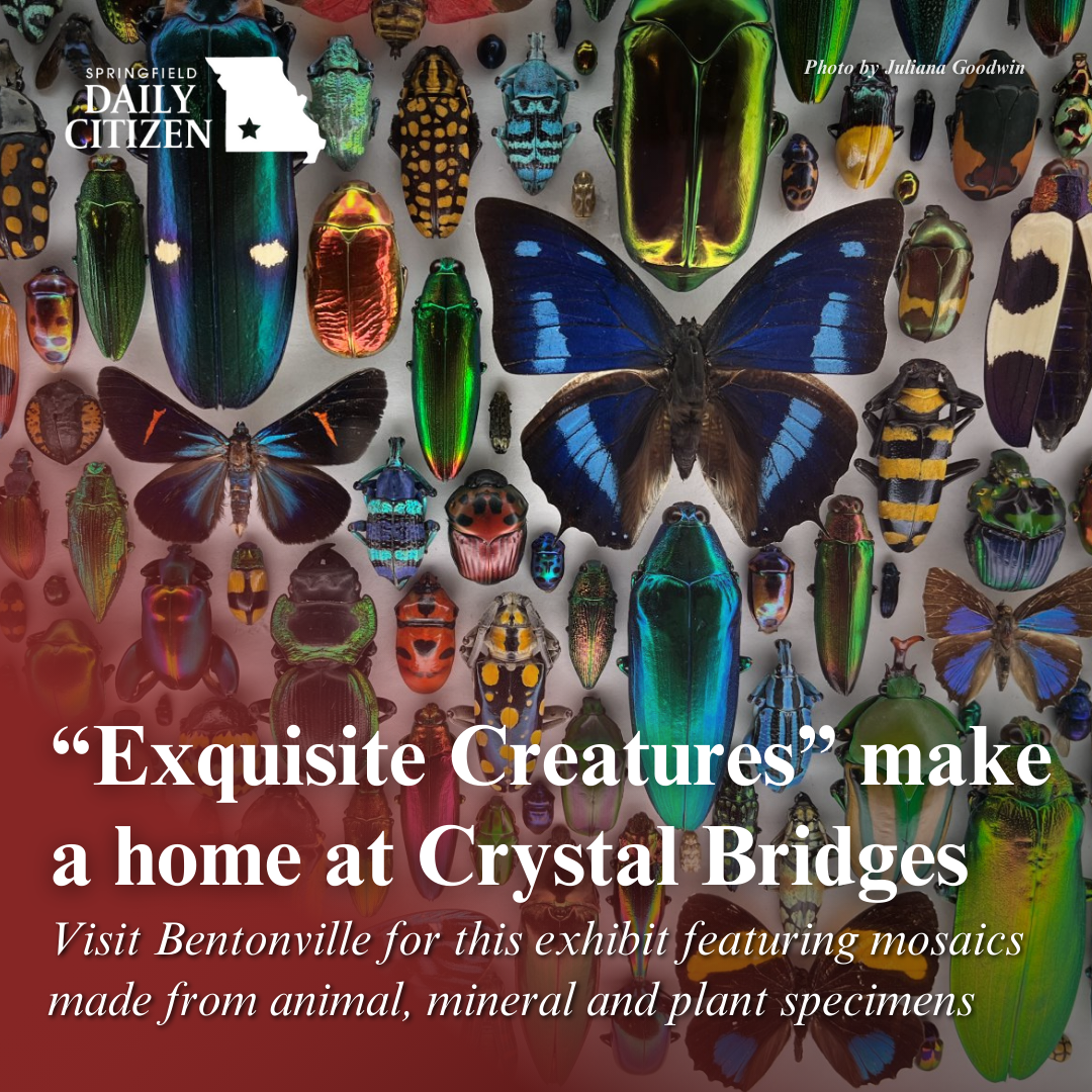 A mosaic made up of brightly colored insects and butterflies. Text on the image reads: "Exquisite Creatures" make a home at Crystal Bridges. Visit Bentonville for this exhibit featuring mosaics made from animal, mineral and plant specimens. (Photo by Juliana Goodwin)