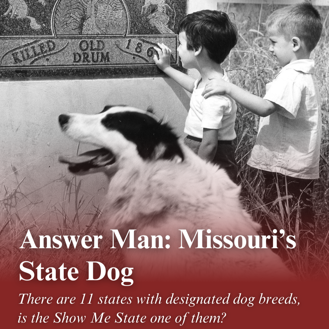 Two young boys and a dog pay a visit to the grave marker for Old Drum. Text on the image reads, "Answer Man: Missouri's State Dog. There are 11 states with designated dog breeds, but is the Show-Me State one of them?"