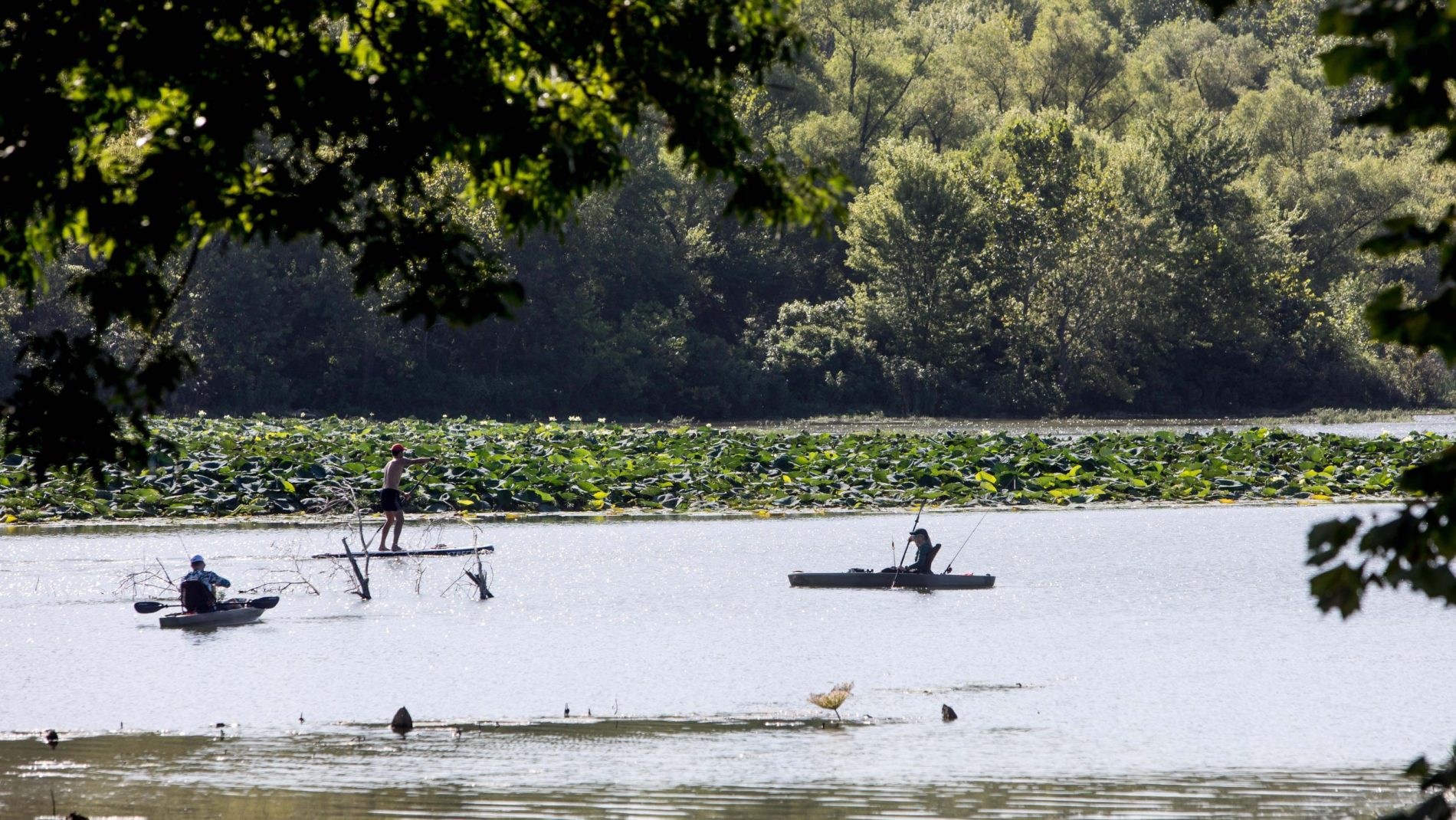 kayakers fish at Lake Springfield.