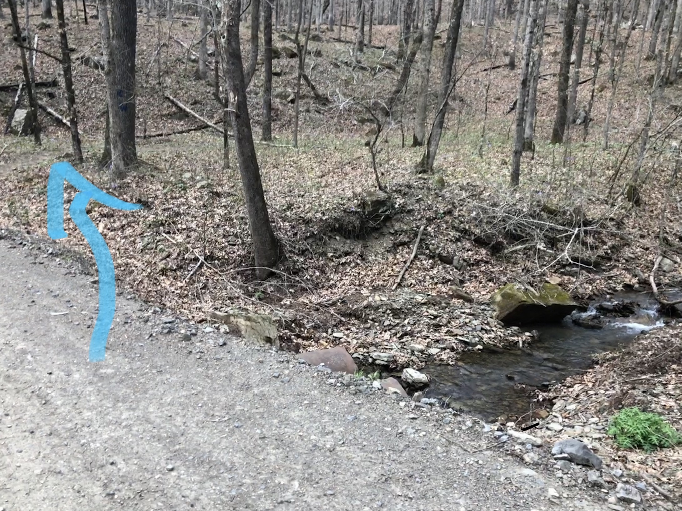 The Terry Keefe Falls trail starts on east side of Falling Creek Road and follows a tributary to the falls. From the road, the trail starts on the left side of the tributary.
