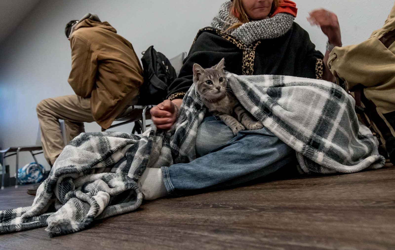 A homeless person holds a kitten while sitting inside a cold weather shelter