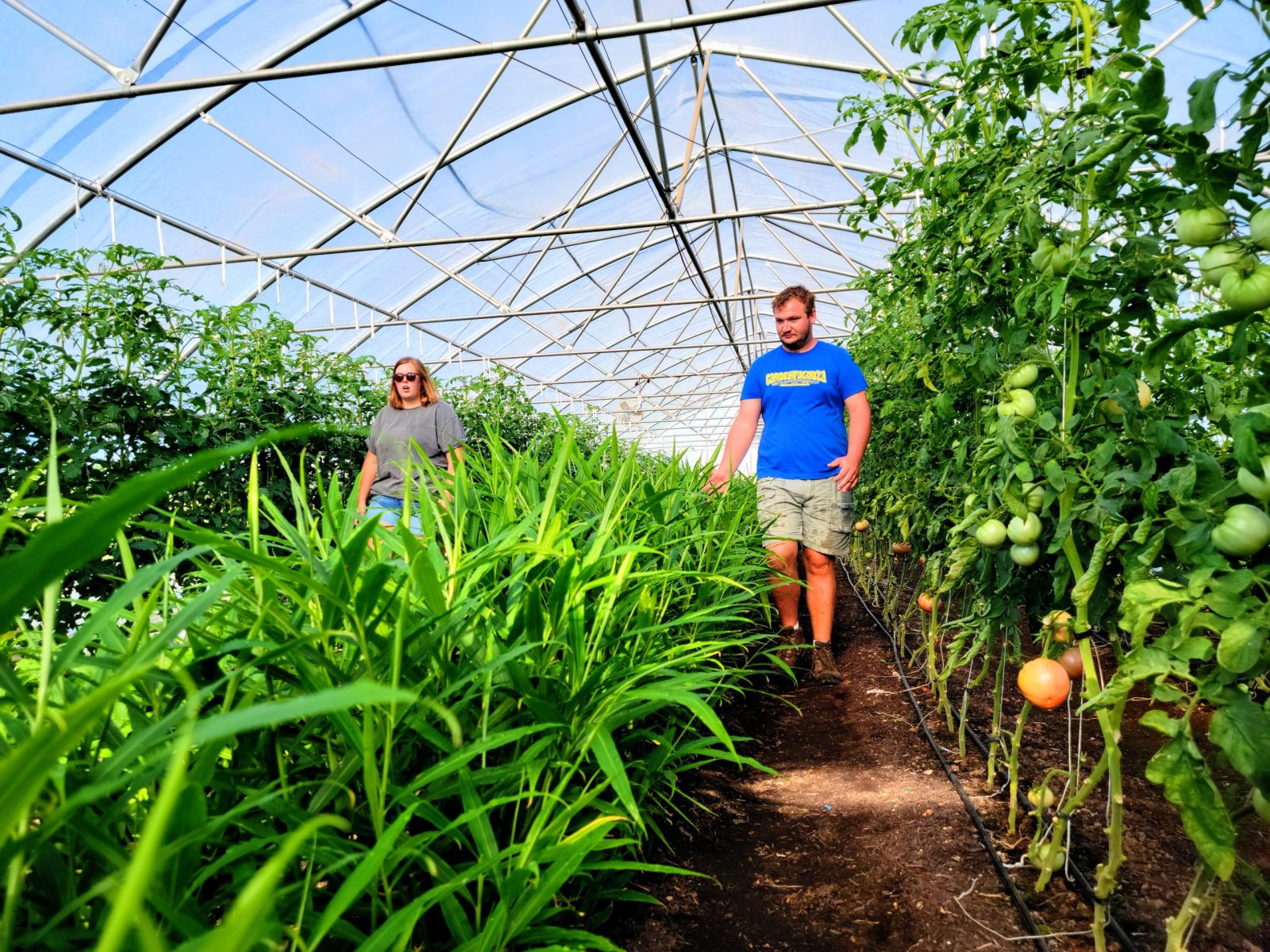 Springfield’s got a new crop of urban farmers: Millennials and Gen-Zers rise up