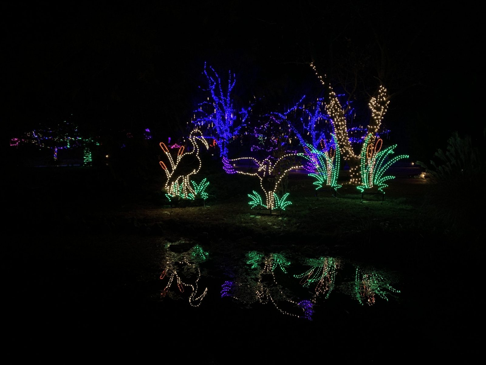 Gardens Aglow decorates Mizumoto Japanese Stroll Garden in 175,000 lights