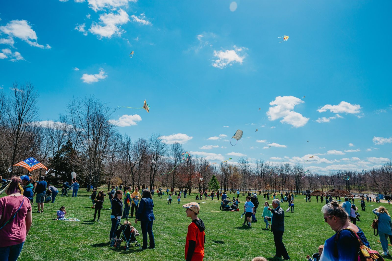 People fly kites in a green field underneath a blue sky