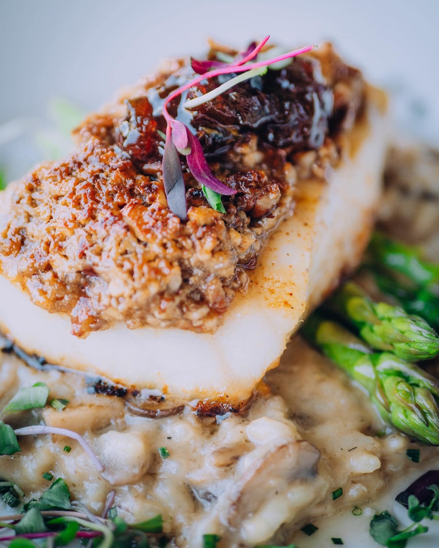 A salmon filet sits on a bed of mushroom risotto