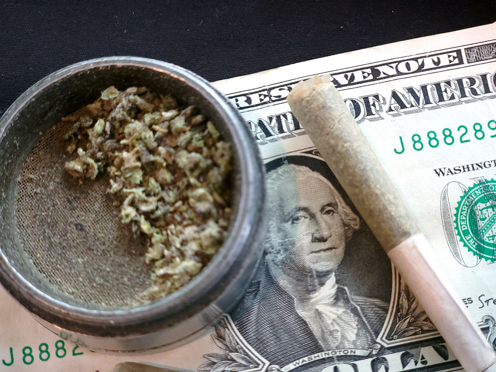 Marijuana buds in container with money