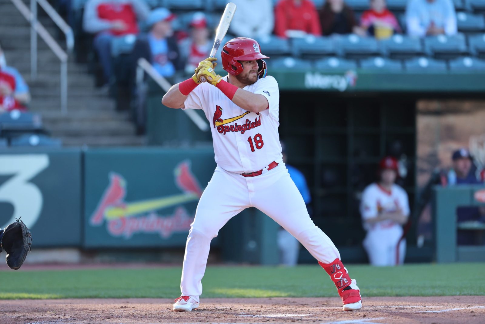 A baseball player in a Springfield Cardinals uniform gets ready to hit the ball