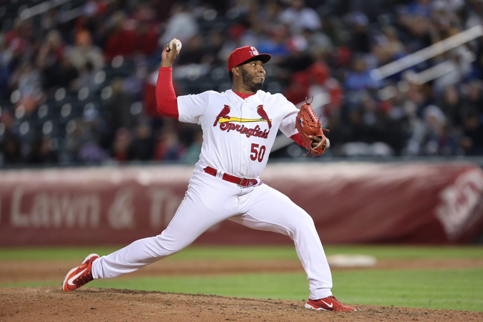 A baseball player in a Springfield Cardinals uniform pitches the ball