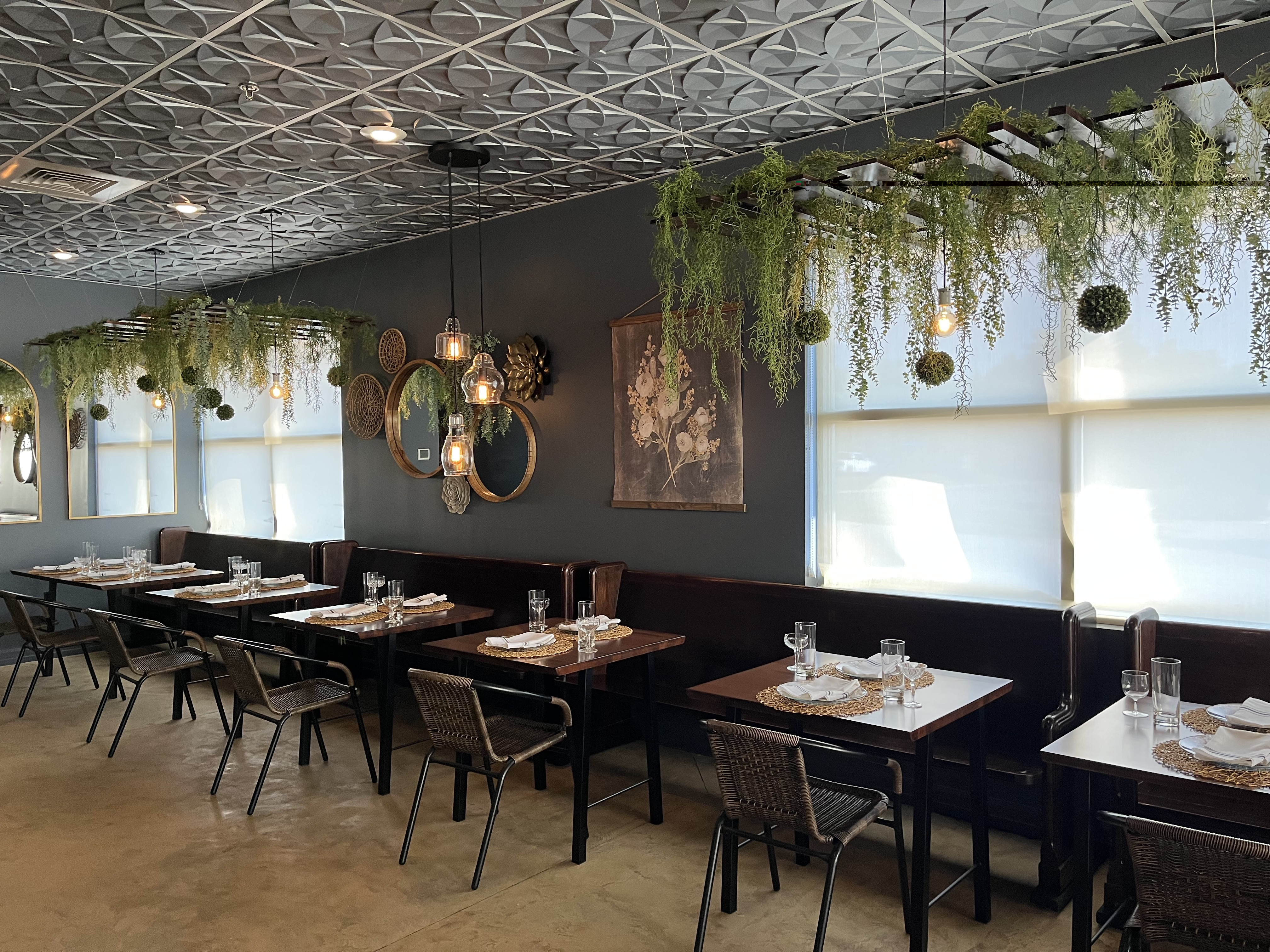Interior photo of Amici, an Italian restaurant in south Springfield, showing tables lining a wall and baskets of ferns moss hanging from the ceiling