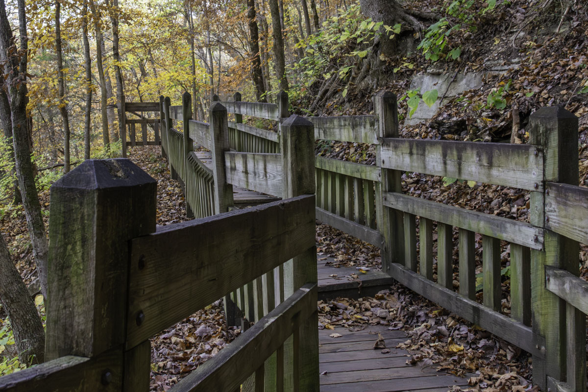 The Deer Leap Trail at Roaring River State Park features a stair climb up and down, plus a wooden bridge and platform  to cross the top of the spring gorge.