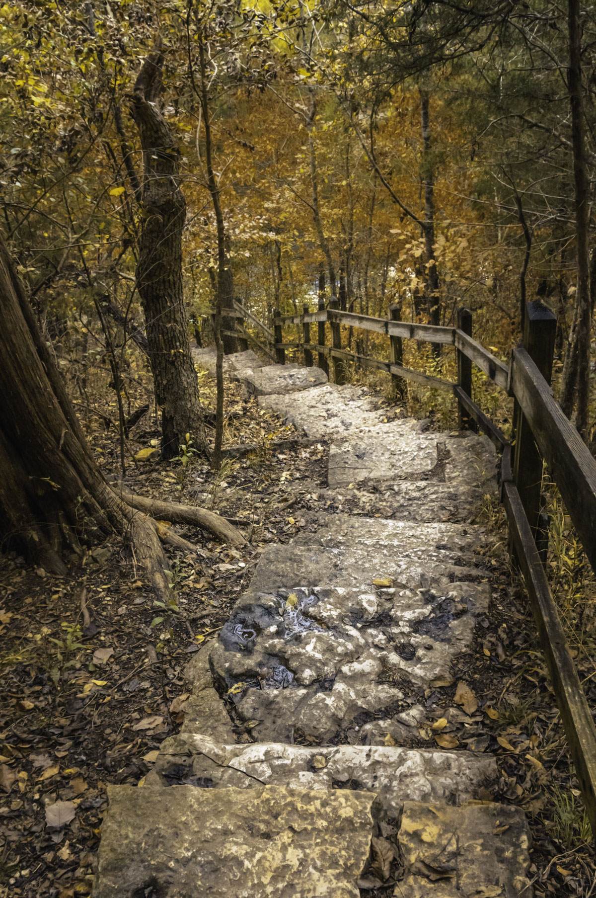 Stone steps on the Deer Leap Trail at Roaring River State Park