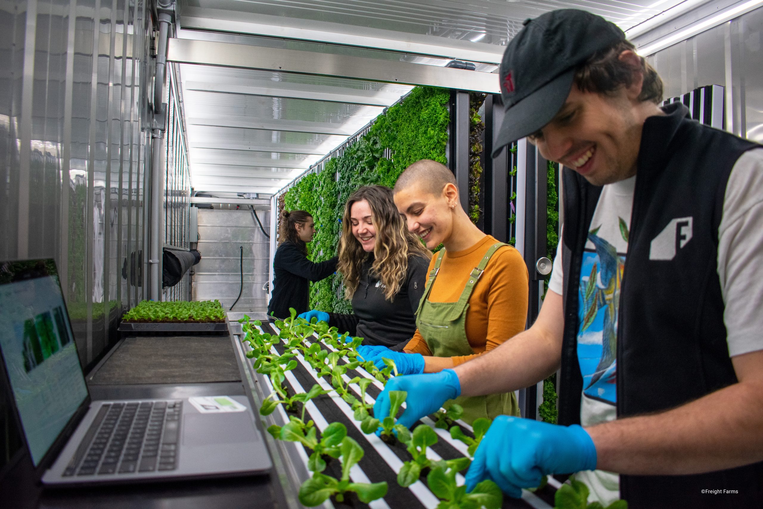 Freight Farms operation inside a shipping container. Three people pick hydroponic lettuce plants.
