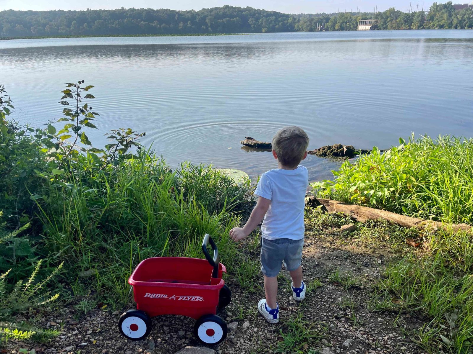 A young boy pulling a red wagon stands next to Lake Springfield