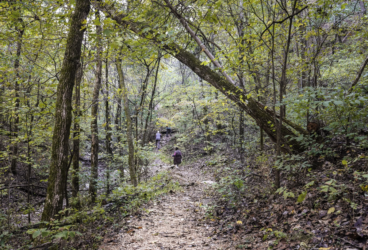 A trail winds through a wooded area of Roaring River State Park