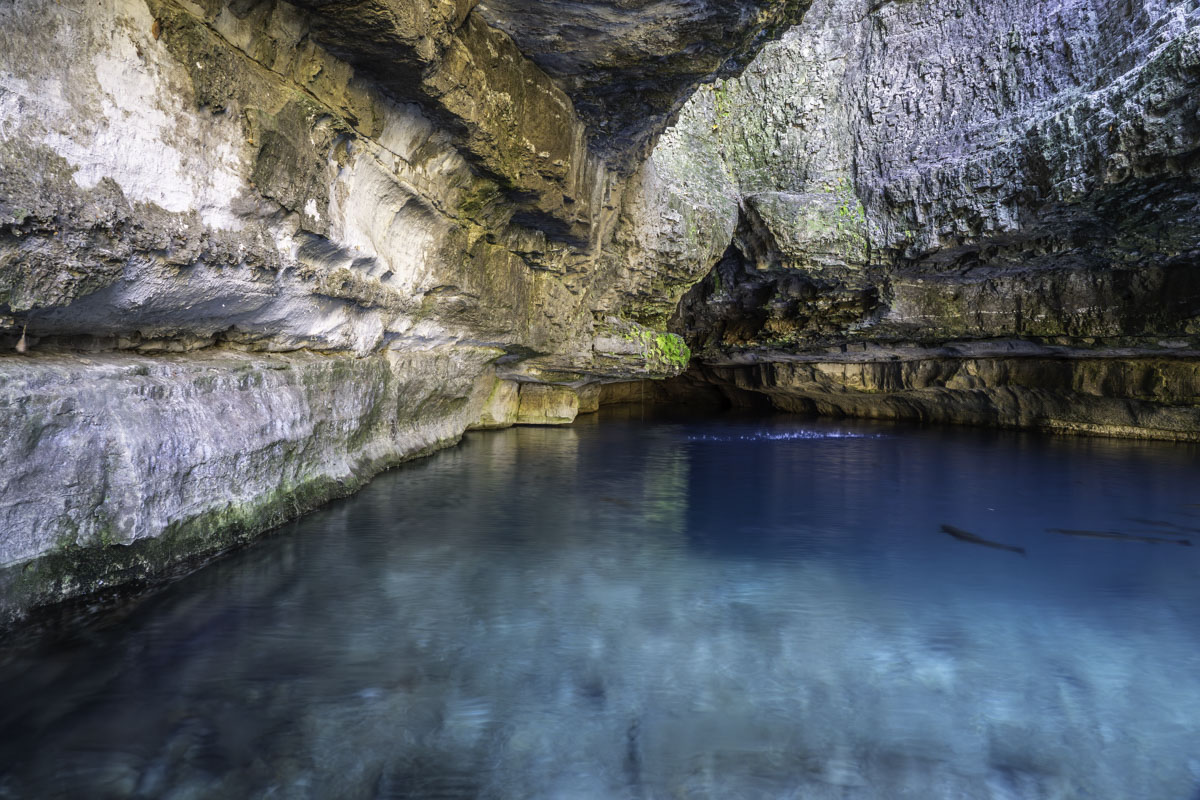 Roaring River Spring emerges from a cave