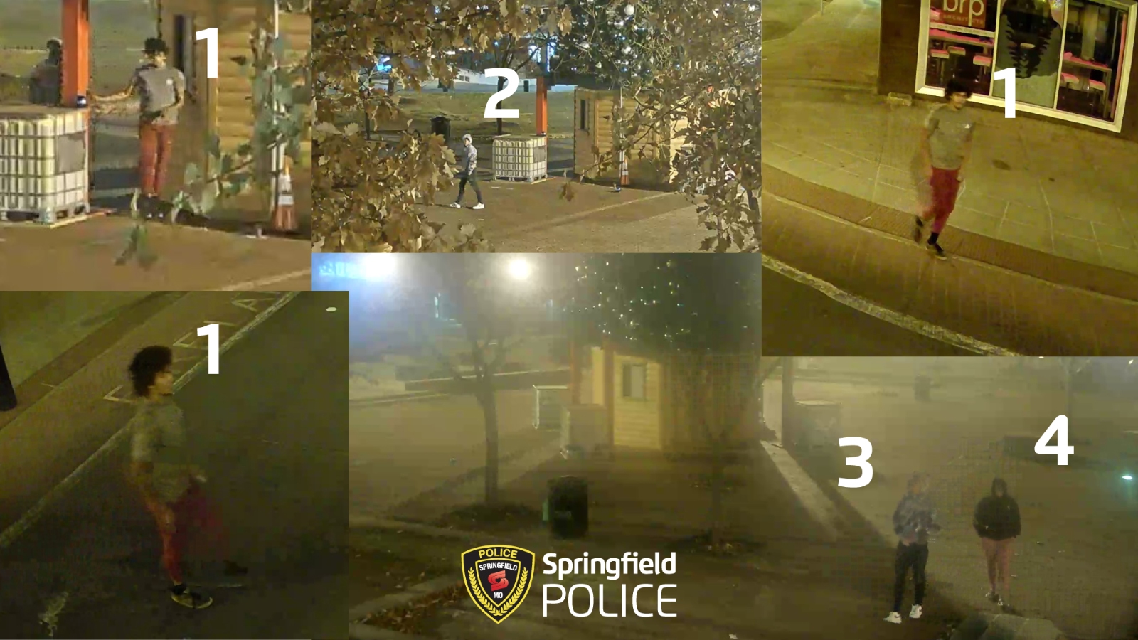 Security camera images of vandals taking blubs off the holiday tree on Park Central Square in Springfield, Missouri