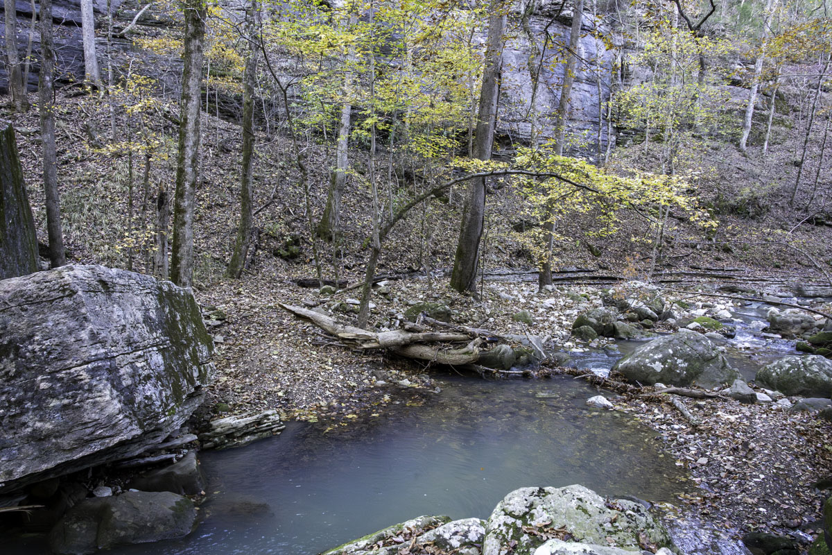 A creek along Lost Valley Trail in northwest Arkansas