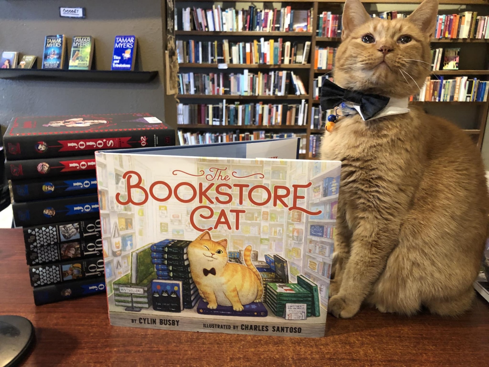 Googey the cat, wearing a black bowtie, sits next to a book titled "Bookstore Cat."