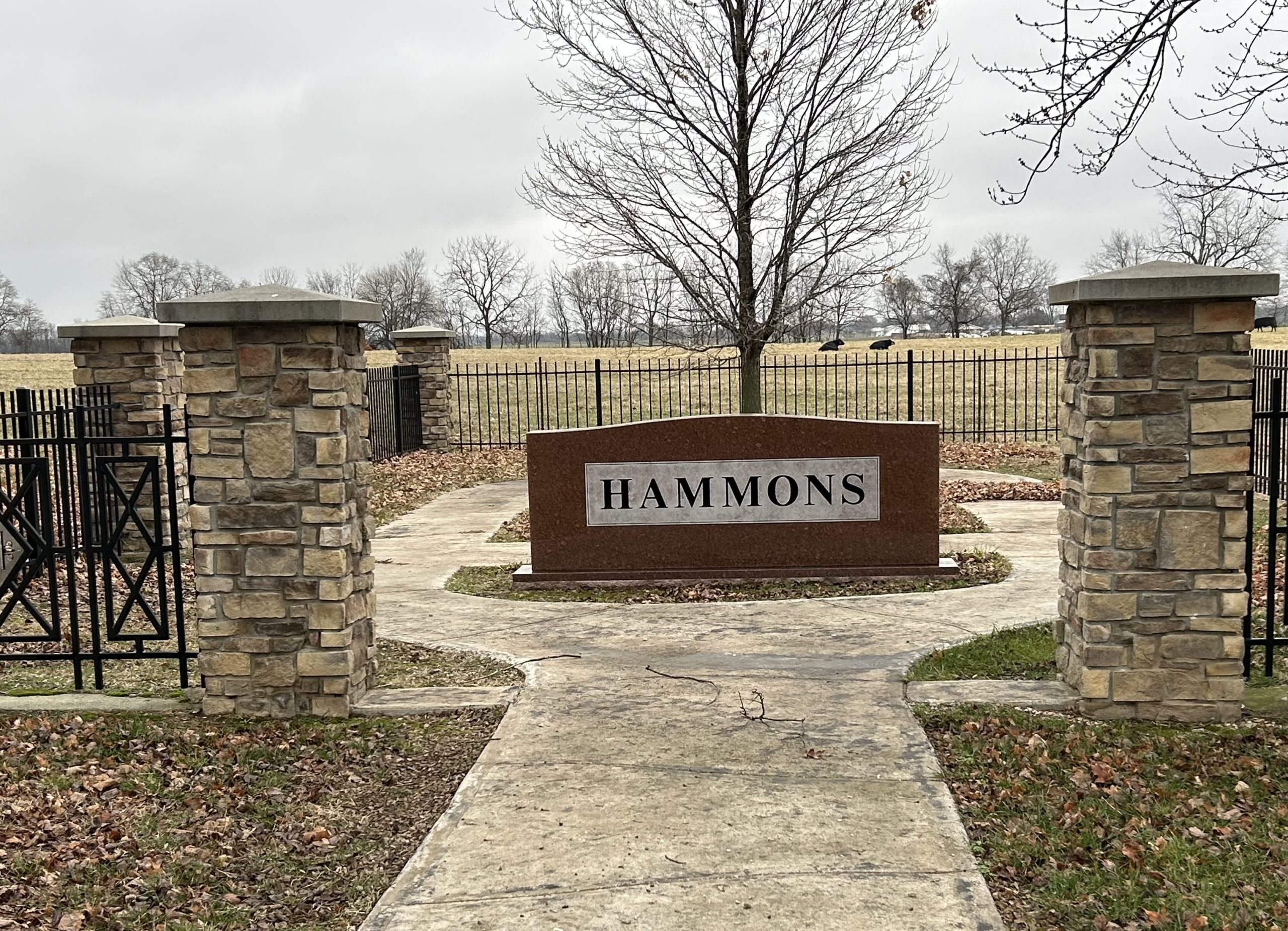 John Q. Hammons and Juanita K. Hammons are buried in a rural cemetery in Newton County. (Photo by Steve Pokin)