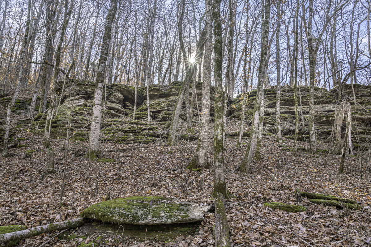 Bare trees reveal bluff lines in the woods while hiking the Buffalo River Trail between Ponca and Steel Creek. (Photo by Sony Hocklander)