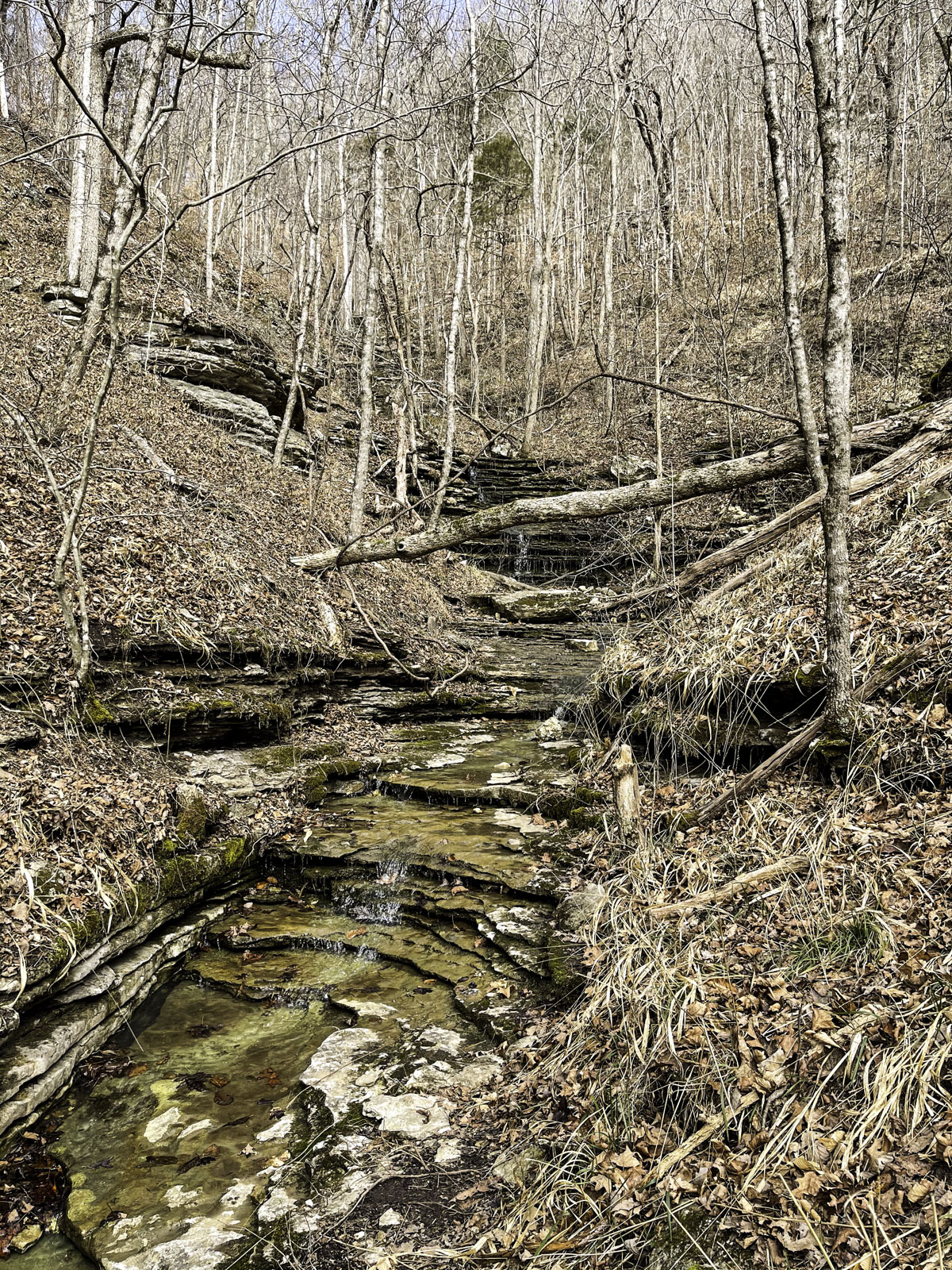 This view from the upper bluff and Balanced Rock shows the cascading creek that eventually ends at Leatherwood Creek. (Photo by Sony Hocklander)