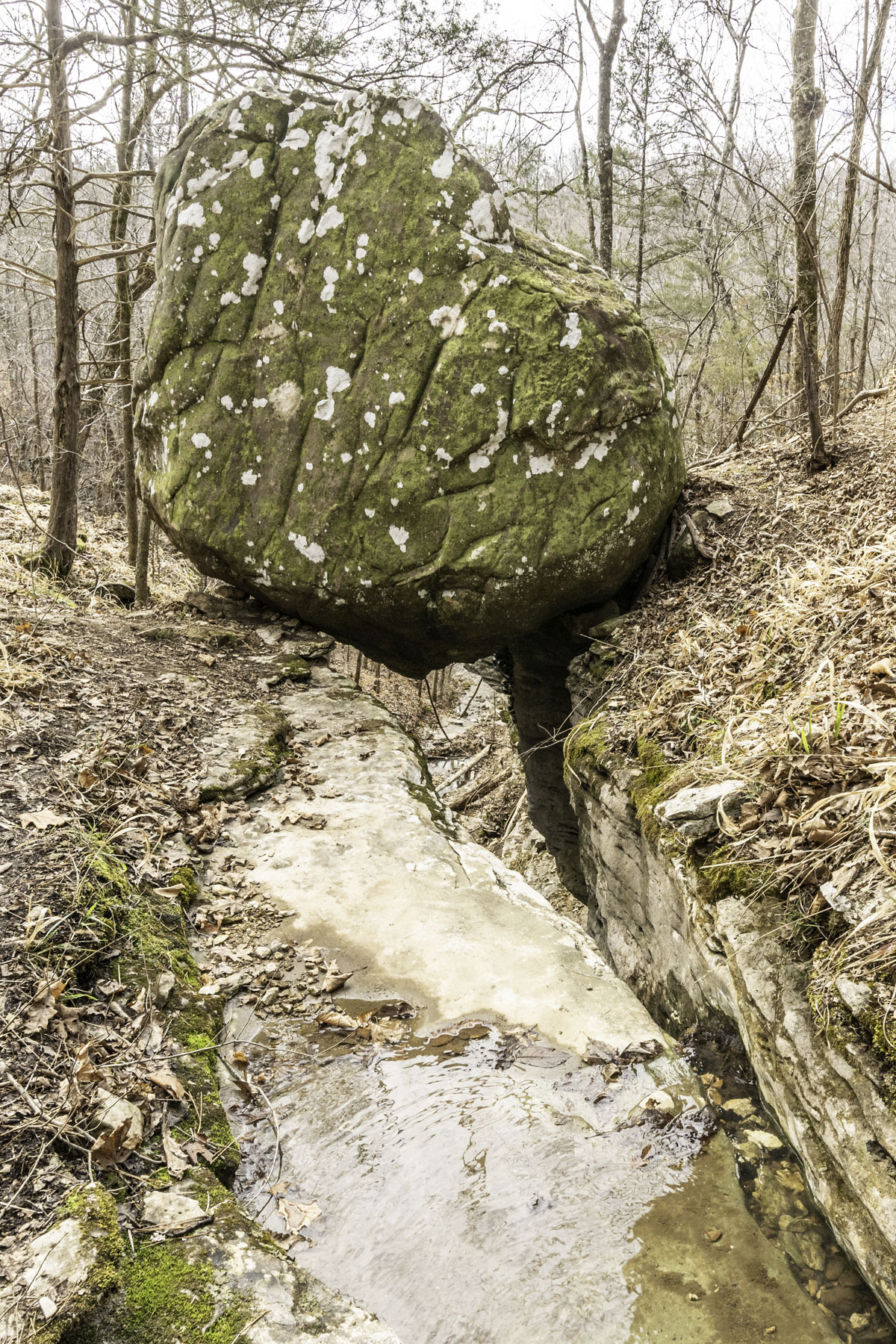 Continue the steep trail up to the top of Balanced Rock for this view of the boulder and a slot in the bluff where the creek becomes a waterfall. (Photo by Sony Hocklander)