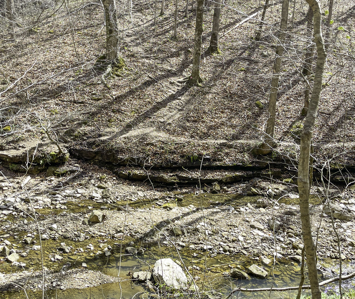 This view from across Leatherwood Creek shows the faint trail (centered) that leads uphill to Balanced Rock Falls. The trail is about 20 feet past a ravine cascading creek that flows into Leatherwood. (Photo by Sony Hocklander)