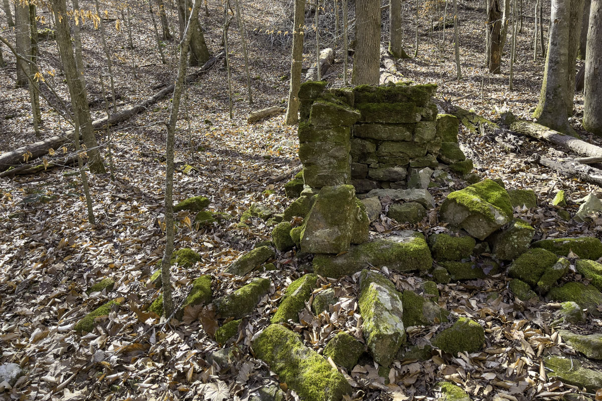 Hikers encounter homestead ruins, not long before the spur that leads to Balanced Rock, on the Leatherwood Creek trail. (Photo by Sony Hocklander)
