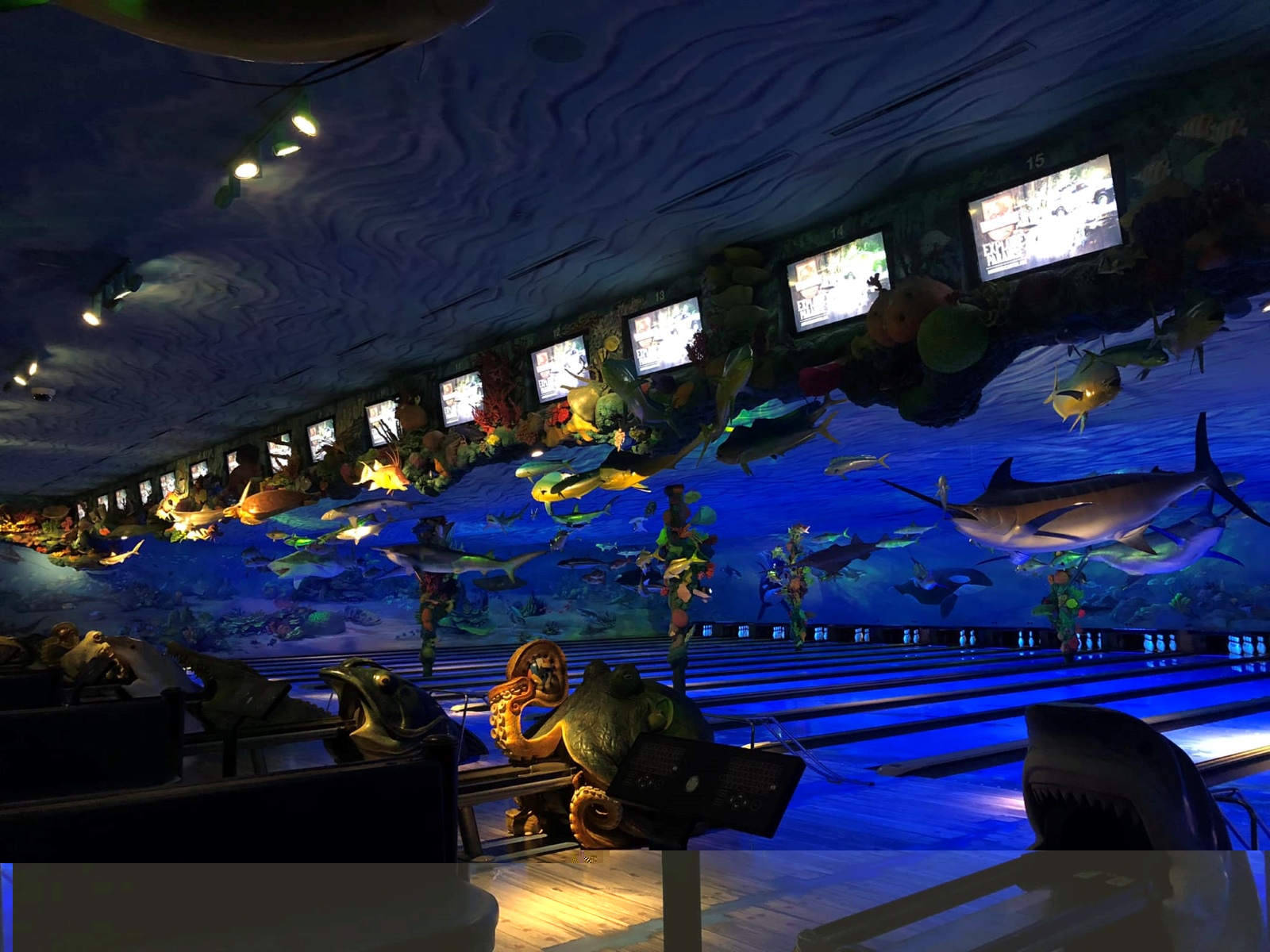 Big Cedar Lodge's aquatic-themed bowling alley