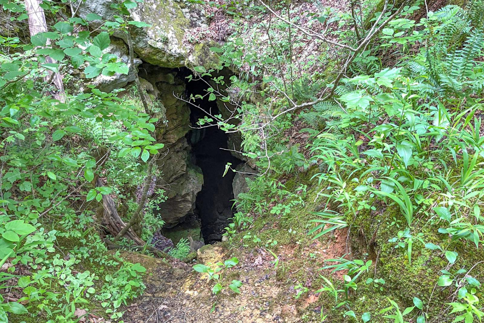 The trail that continues downstream from Broadwater Hollow Falls passes this off-limits cave known as Devil’s Den. (Photo by Sony Hocklander)