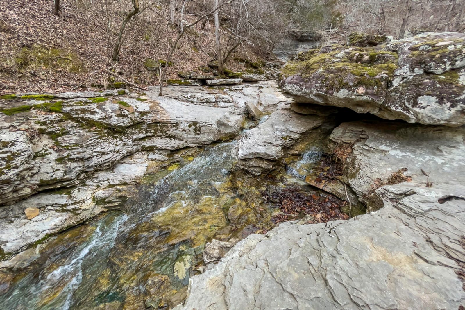 Downstream from Broadwater Hollow Falls, the creek cascades around a maze of boulders. (Photo by Sony Hocklander)