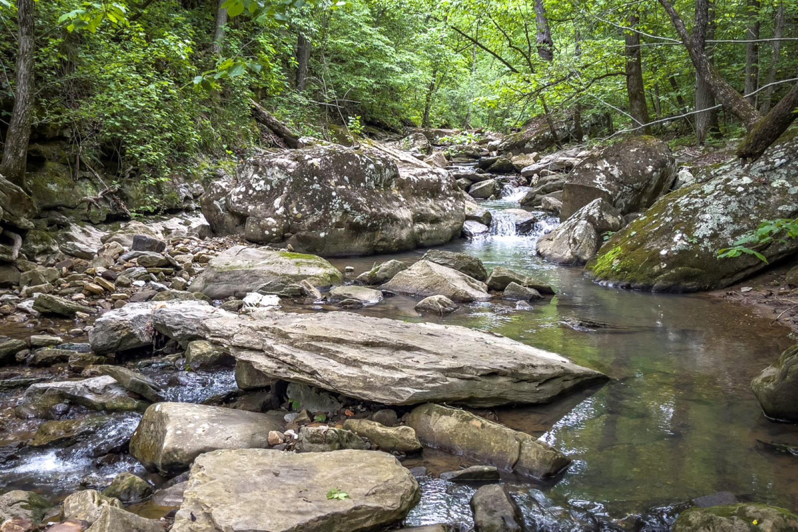Scenes along the creek are more easily reached once the trail nears the base of the hollow before leading to Cecil Creek. (Photo by Sony Hocklander)