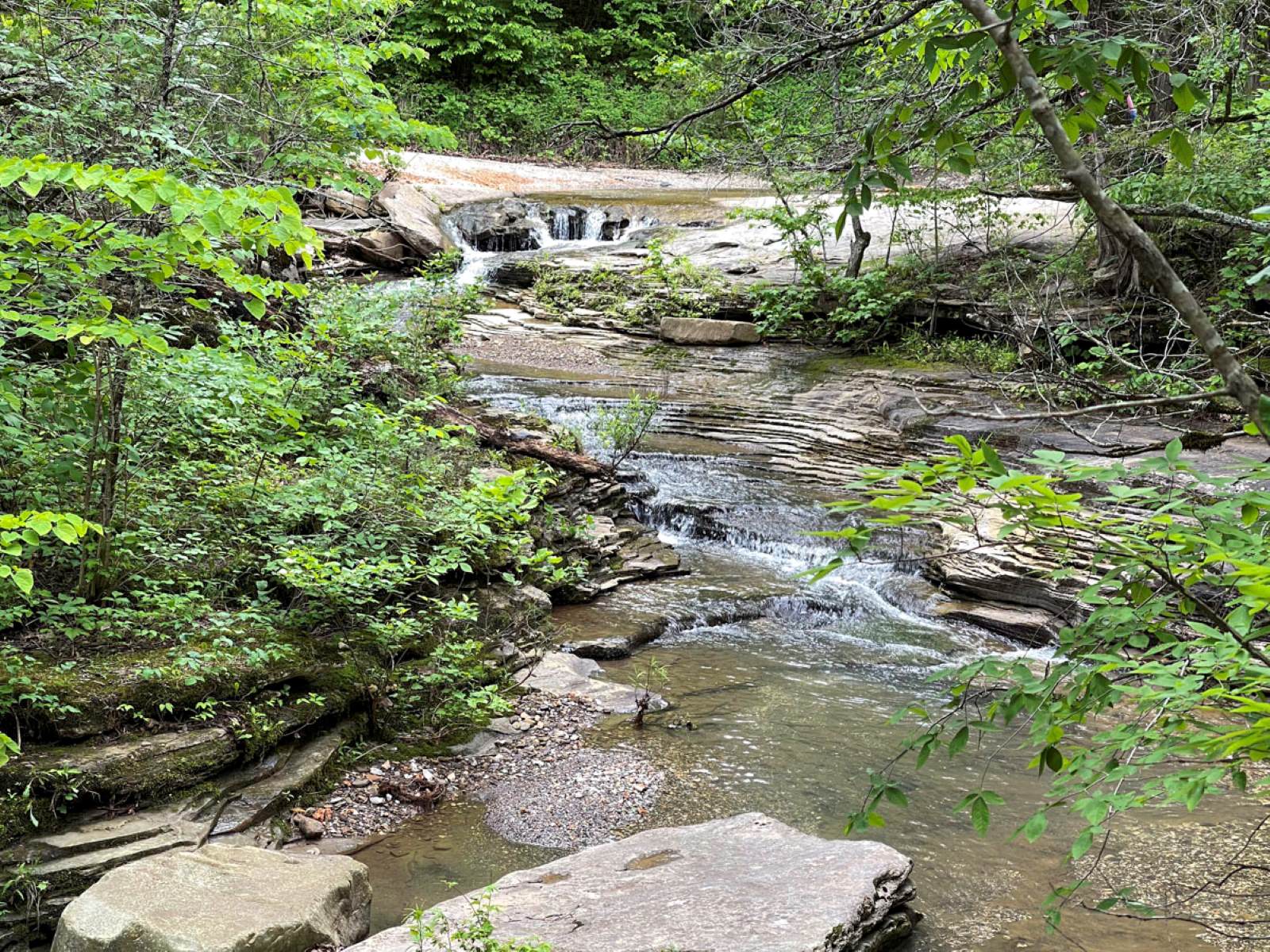 This pretty view can be found near the start of the trail to Paige and Broadwater Hollow Falls near the Buffalo National River in northwest Arkansas. (Photo by Sony Hocklander)