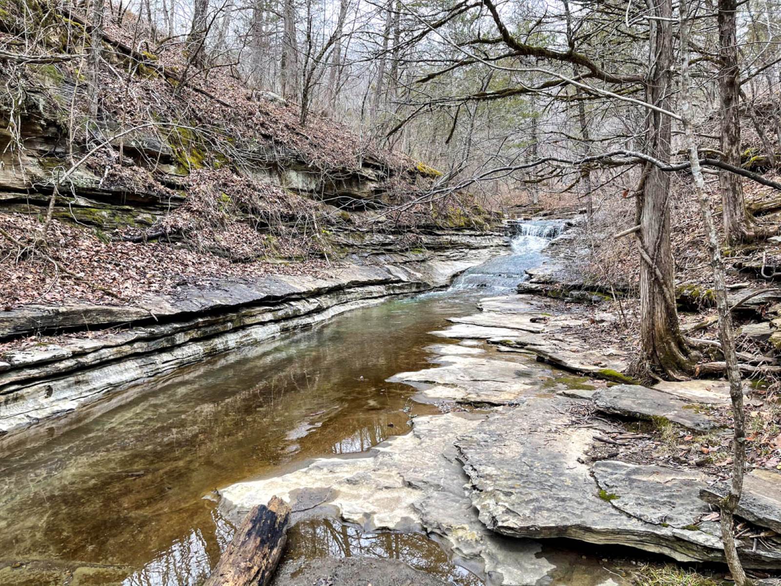 It’s easy to walk back upstream to view or photograph the small unnamed falls near the start of the trail. (Photo by Sony Hocklander)