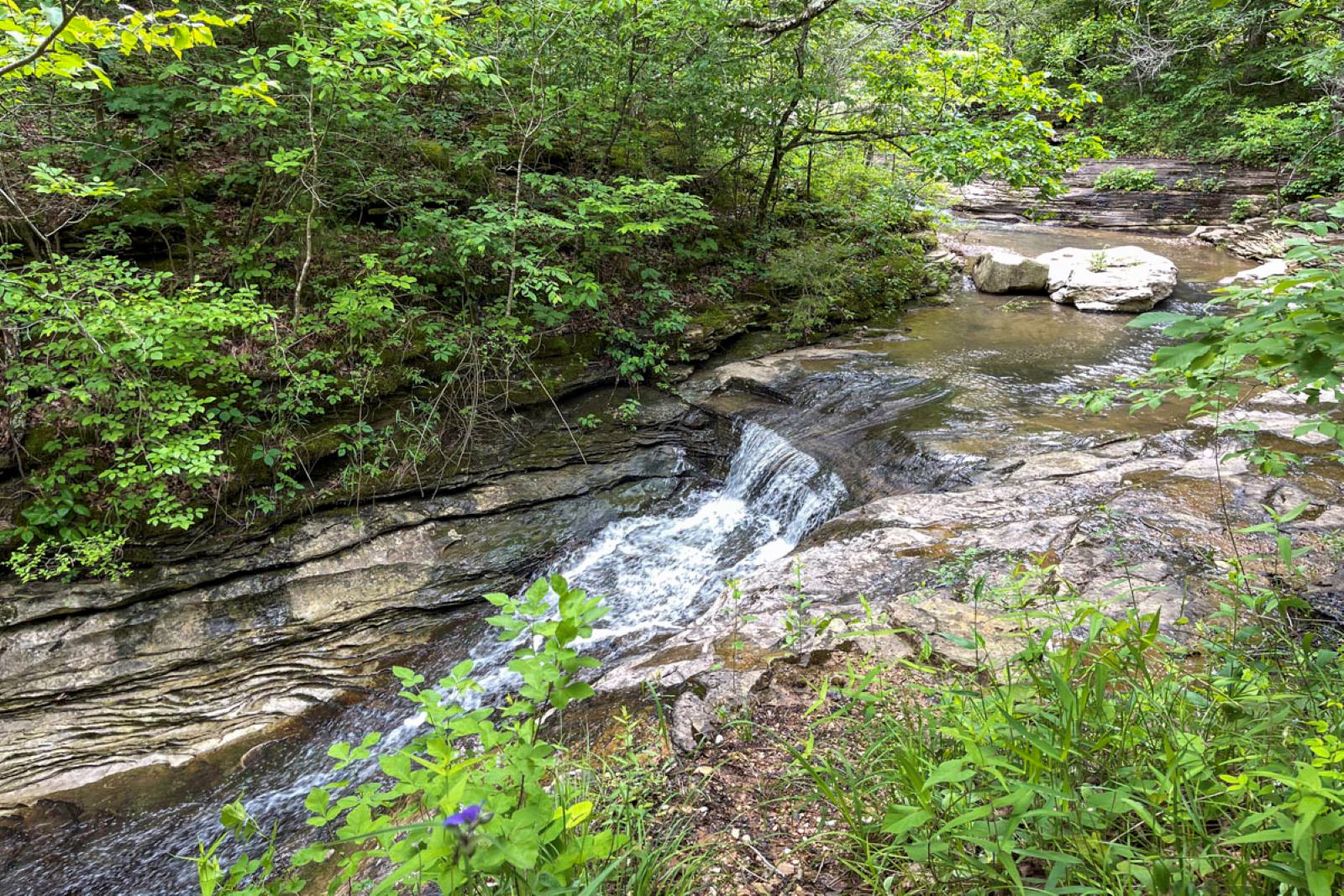 This small unnamed waterfall isn’t far from the start of a trail to see Paige and Broadwater Hollow Falls. (Photo by Sony Hocklander)