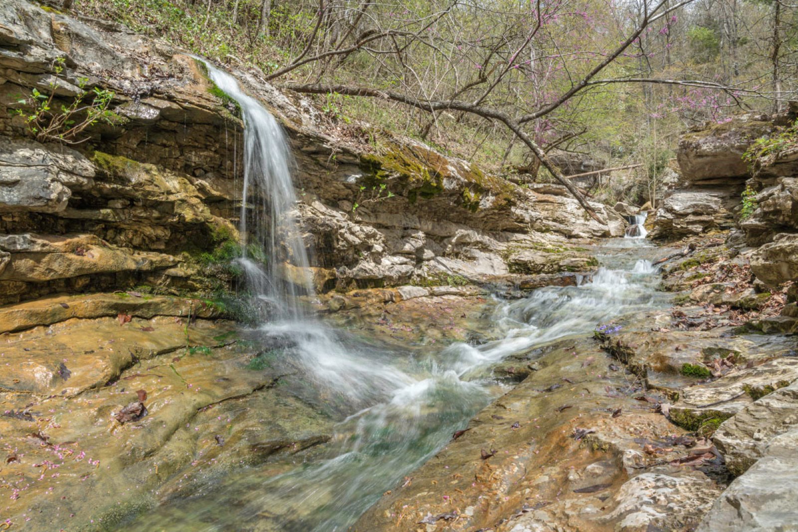 This spring waterfall is located a short way downstream from Broadwater Hollow Falls. It can be viewed from a rocky platform to its right, or from the left side, as shown, by hiking around a boulder. (Photo by Sony Hocklander)