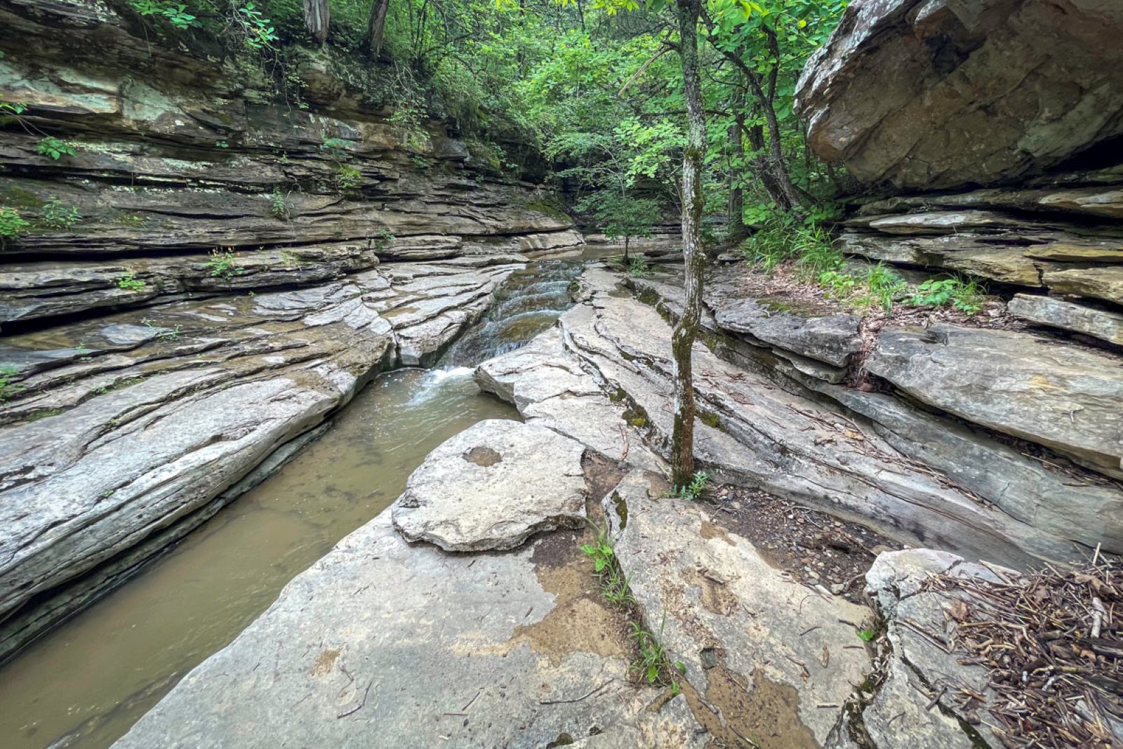 This v-slot creek beneath a bluff leads to the top of Paige Falls. (Photo by Sony Hocklander)